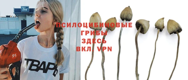 бошки Сатка