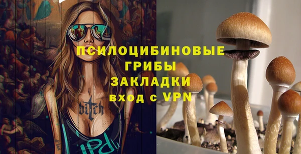 бошки Сатка