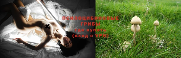 бошки Сатка