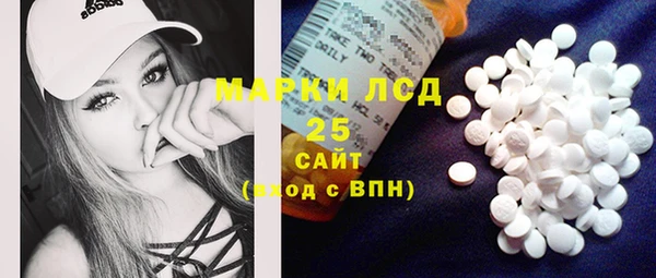 бошки Сатка