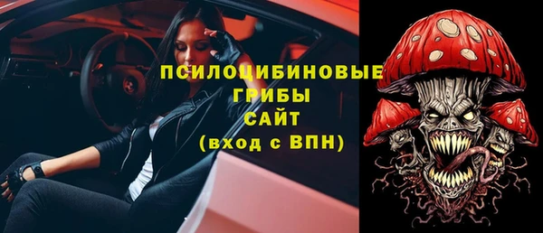 бошки Сатка